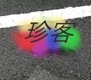 珍客現る⁉