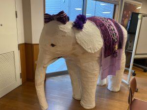 京都サンガFCは、私たちの『推し』です♡