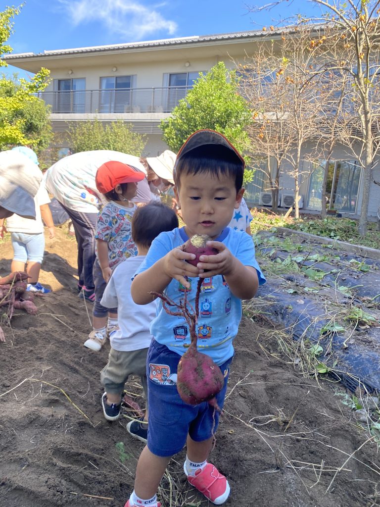 サムネイル画像