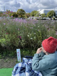 秋晴れのコスモス園へ! 笑顔咲くお出かけレポ♪