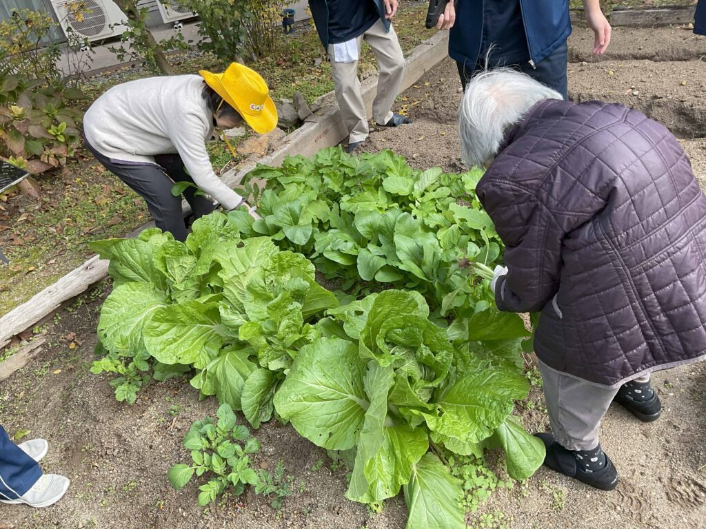 サムネイル画像